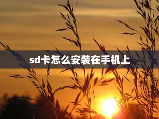 sd卡怎么安装在手机上