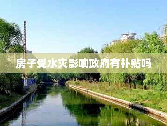 房子受水灾影响政府有补贴吗