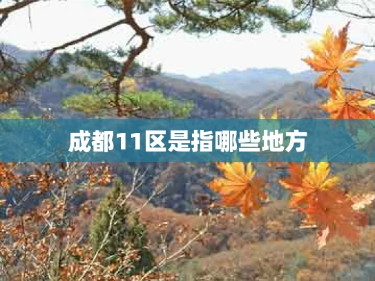 成都11区是指哪些地方