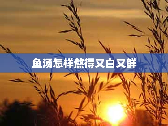 鱼汤怎样熬得又白又鲜
