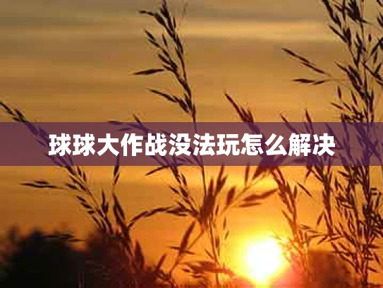 球球大作战没法玩怎么解决