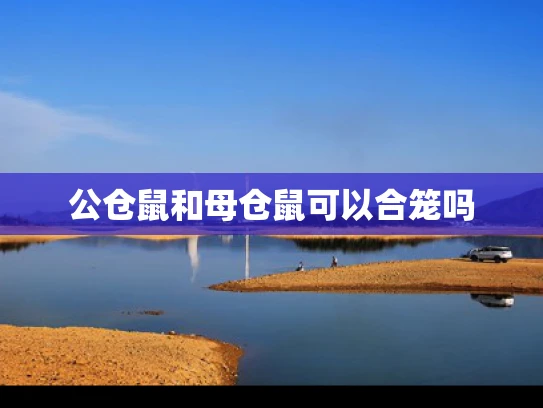 公仓鼠和母仓鼠可以合笼吗