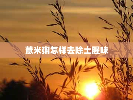 薏米粥怎样去除土腥味