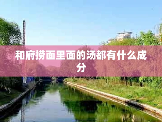 和府捞面里面的汤都有什么成分
