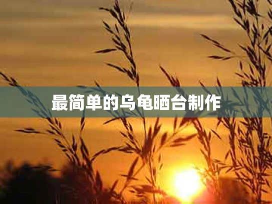 最简单的乌龟晒台制作