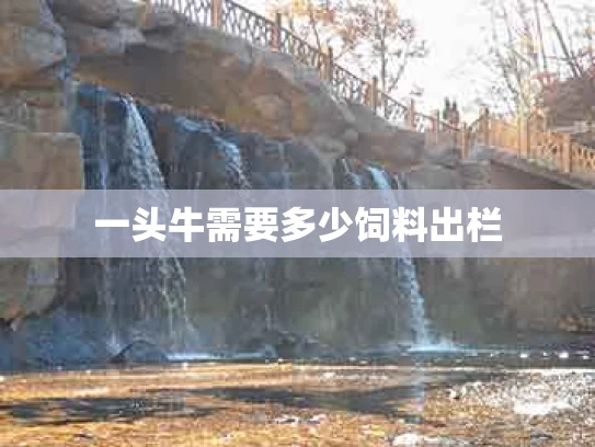 一头牛需要多少饲料出栏