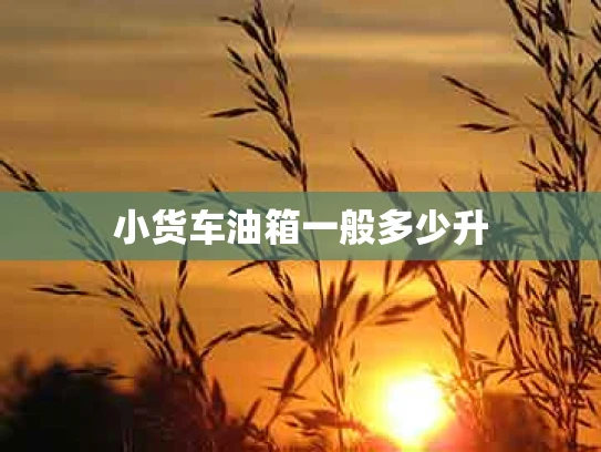 小货车油箱一般多少升