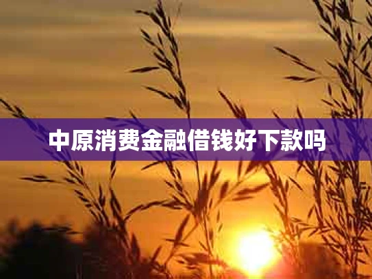中原消费金融借钱好下款吗