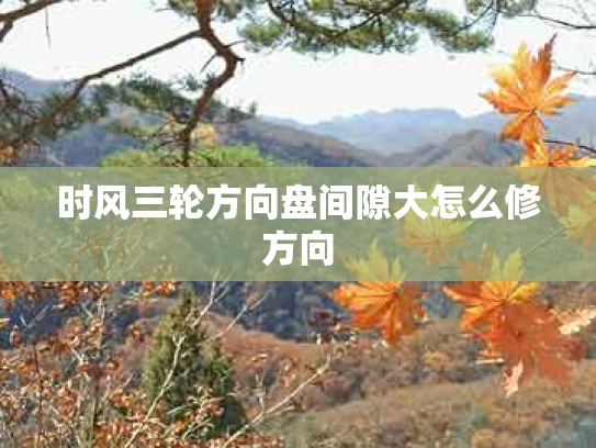 时风三轮方向盘间隙大怎么修方向