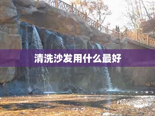 清洗沙发用什么最好