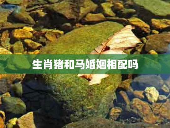 生肖猪和马婚姻相配吗