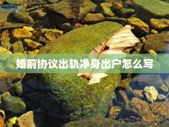 婚前协议出轨净身出户怎么写