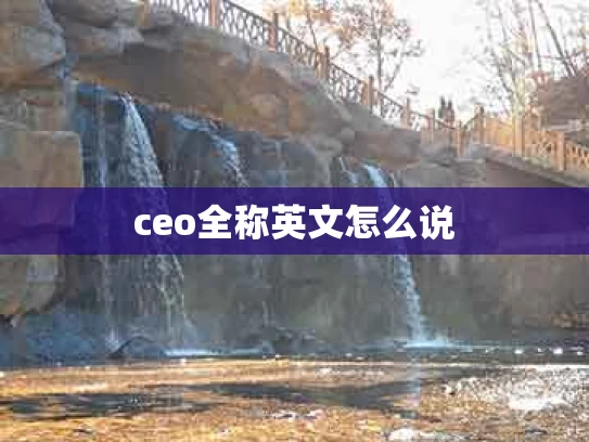 ceo全称英文怎么说