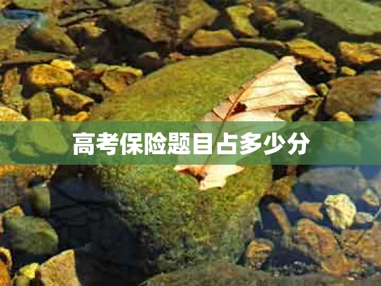 高考保险题目占多少分
