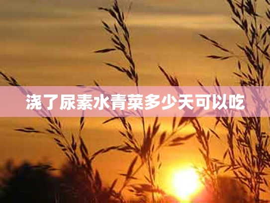 浇了尿素水青菜多少天可以吃