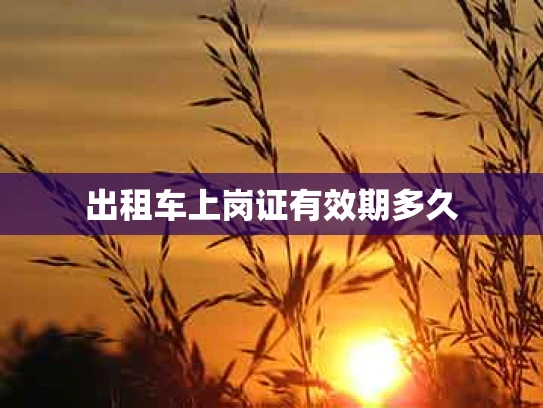 出租车上岗证有效期多久