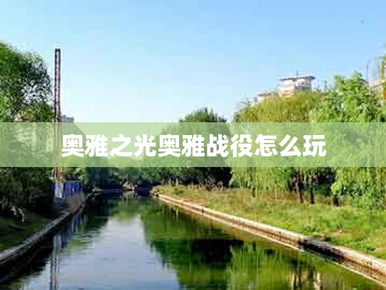 奥雅之光奥雅战役怎么玩