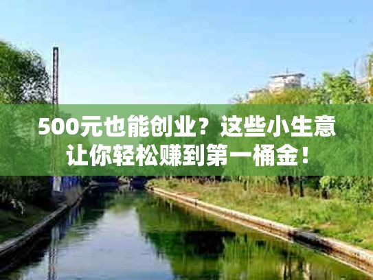 500元也能创业？这些小生意让你轻松赚到第一桶金！