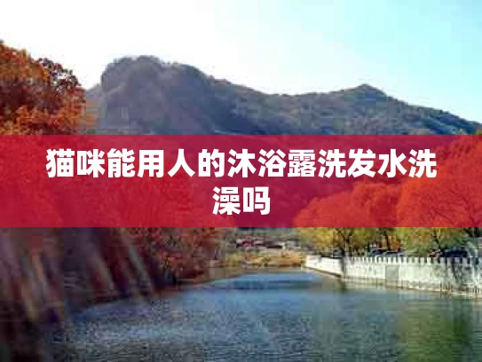 猫咪能用人的沐浴露洗发水洗澡吗