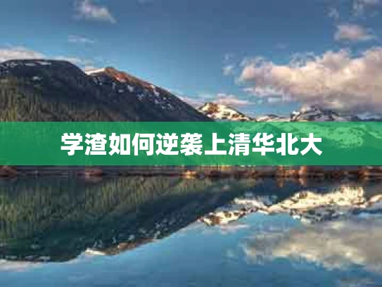 学渣如何逆袭上清华北大