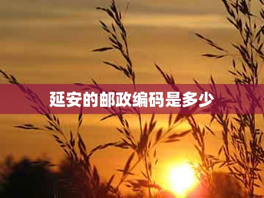 延安的邮政编码是多少