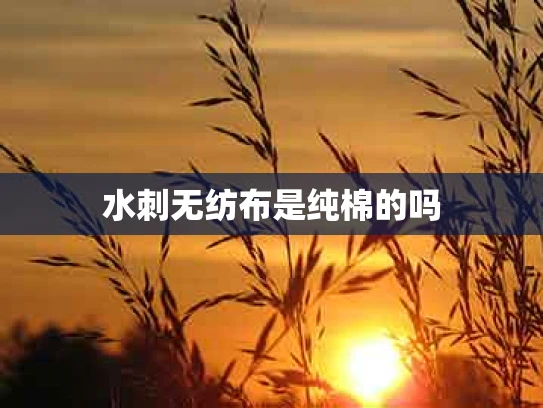 水刺无纺布是纯棉的吗