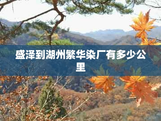 盛泽到湖州繁华染厂有多少公里