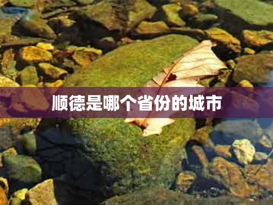 顺德是哪个省份的城市