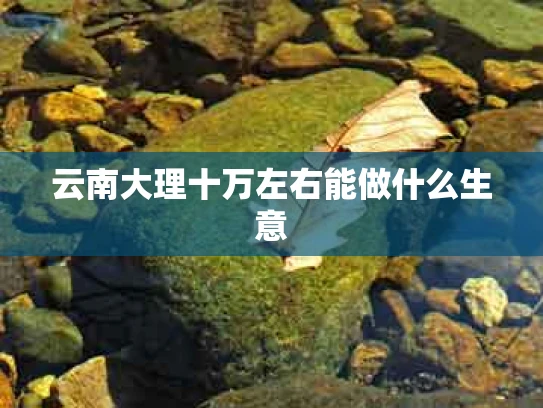 云南大理十万左右能做什么生意