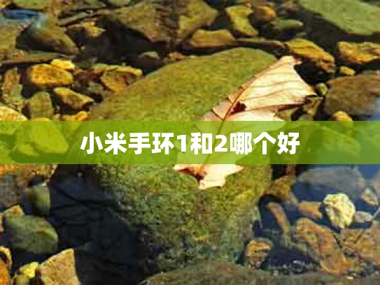 小米手环1和2哪个好