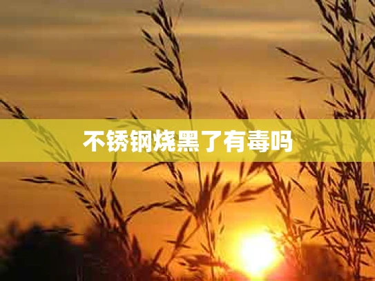 不锈钢烧黑了有毒吗