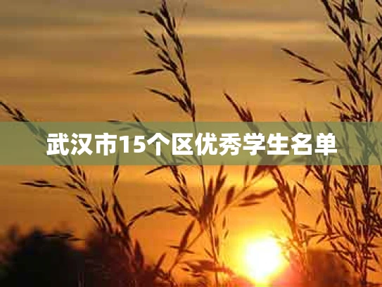 武汉市15个区优秀学生名单