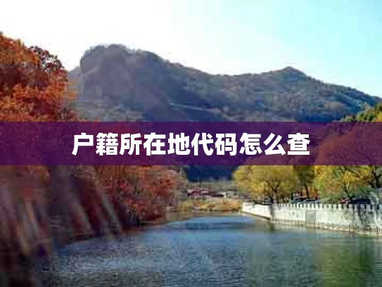 户籍所在地代码怎么查