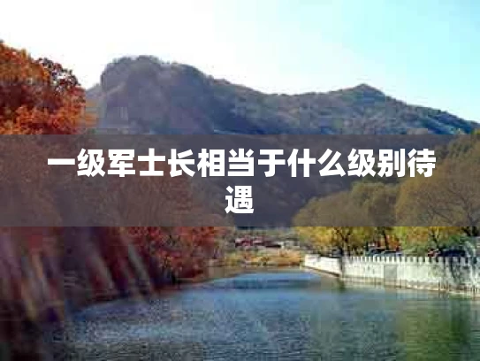一级军士长相当于什么级别待遇