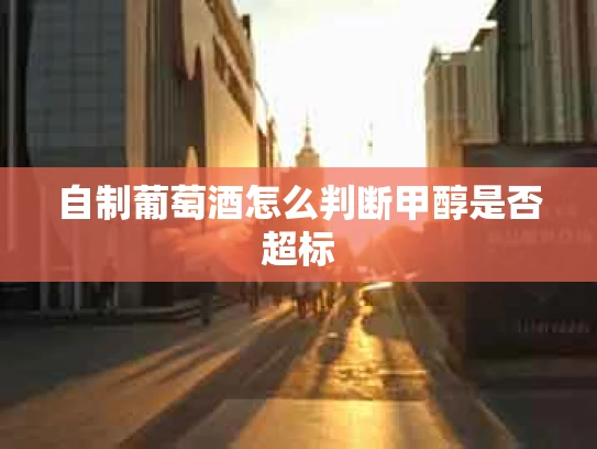 自制葡萄酒怎么判断甲醇是否超标