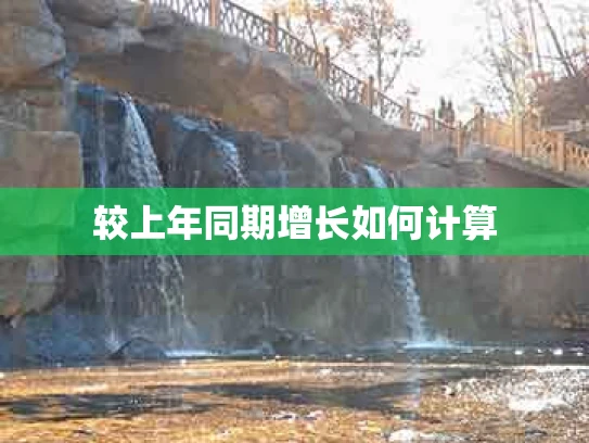 较上年同期增长如何计算