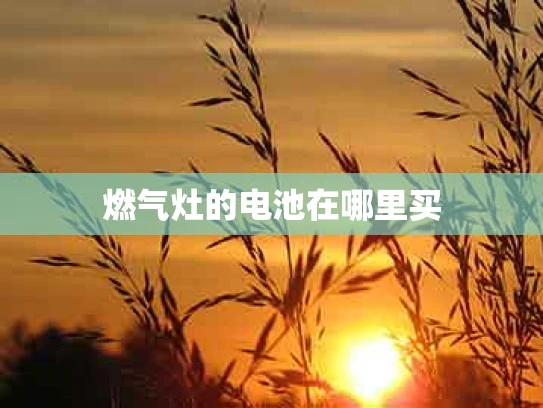 燃气灶的电池在哪里买