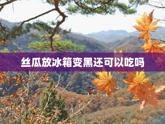 丝瓜放冰箱变黑还可以吃吗