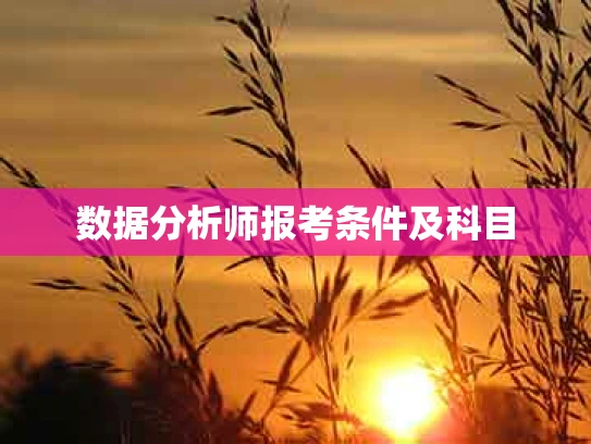 数据分析师报考条件及科目