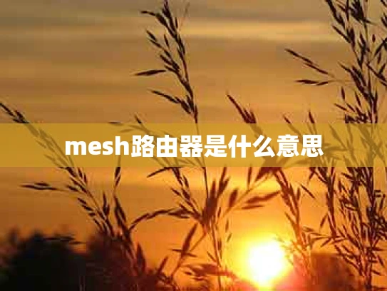 mesh路由器是什么意思