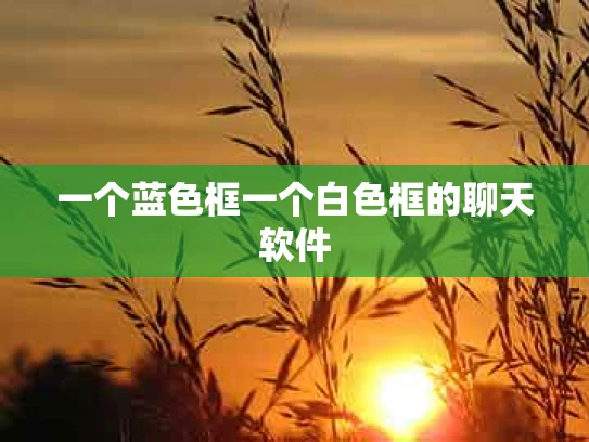 一个蓝色框一个白色框的聊天软件