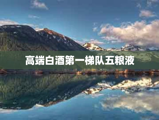 高端白酒第一梯队五粮液