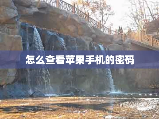怎么查看苹果手机的密码
