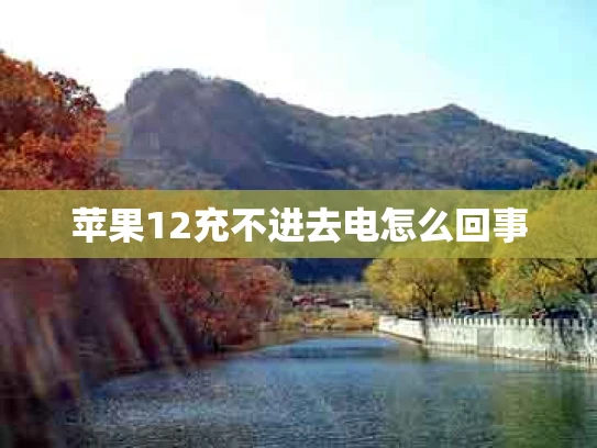 苹果12充不进去电怎么回事