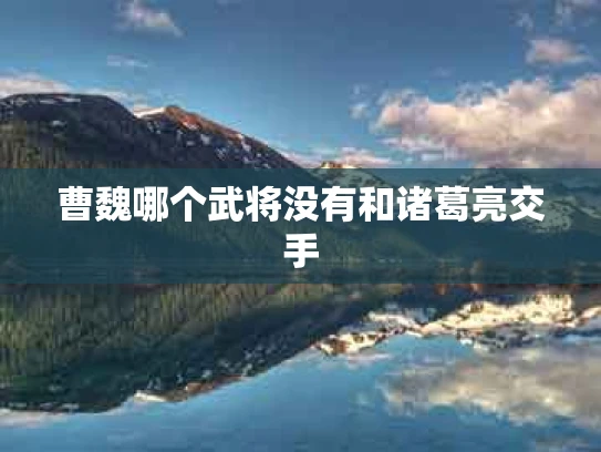 曹魏哪个武将没有和诸葛亮交手