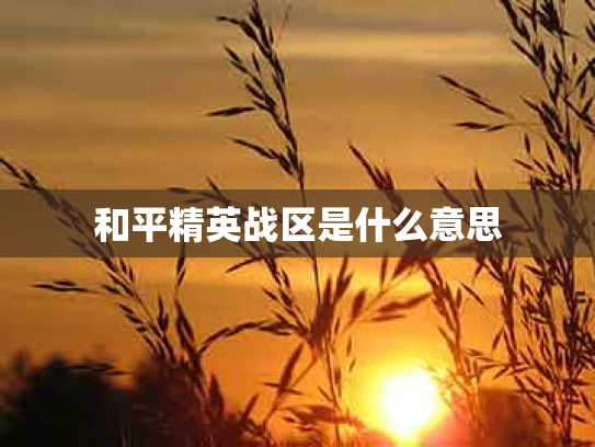和平精英战区是什么意思