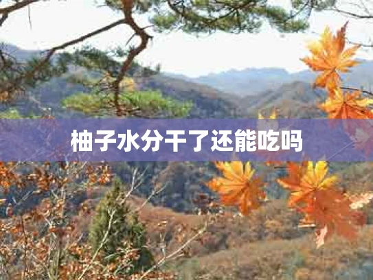 柚子水分干了还能吃吗