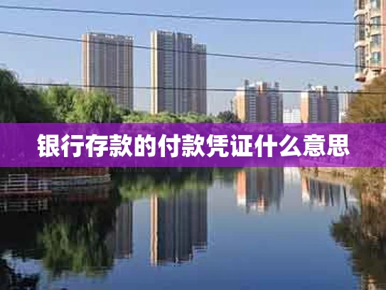 银行存款的付款凭证什么意思