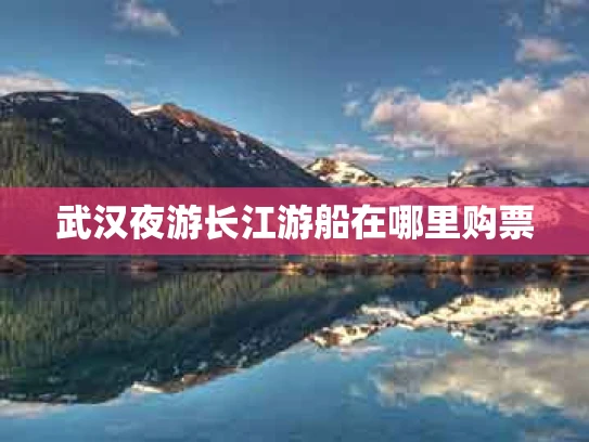 武汉夜游长江游船在哪里购票