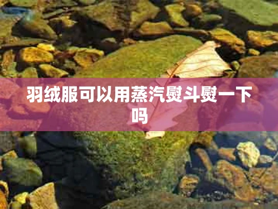 羽绒服可以用蒸汽熨斗熨一下吗